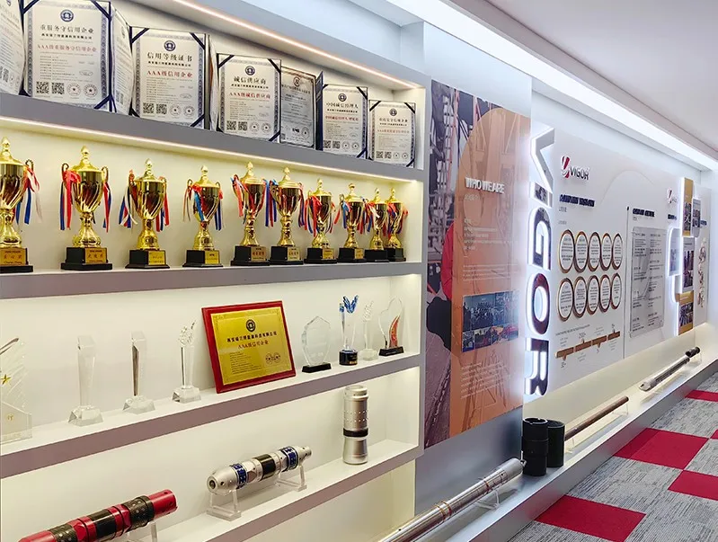 China Vigor Office